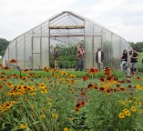 Field Tunnel